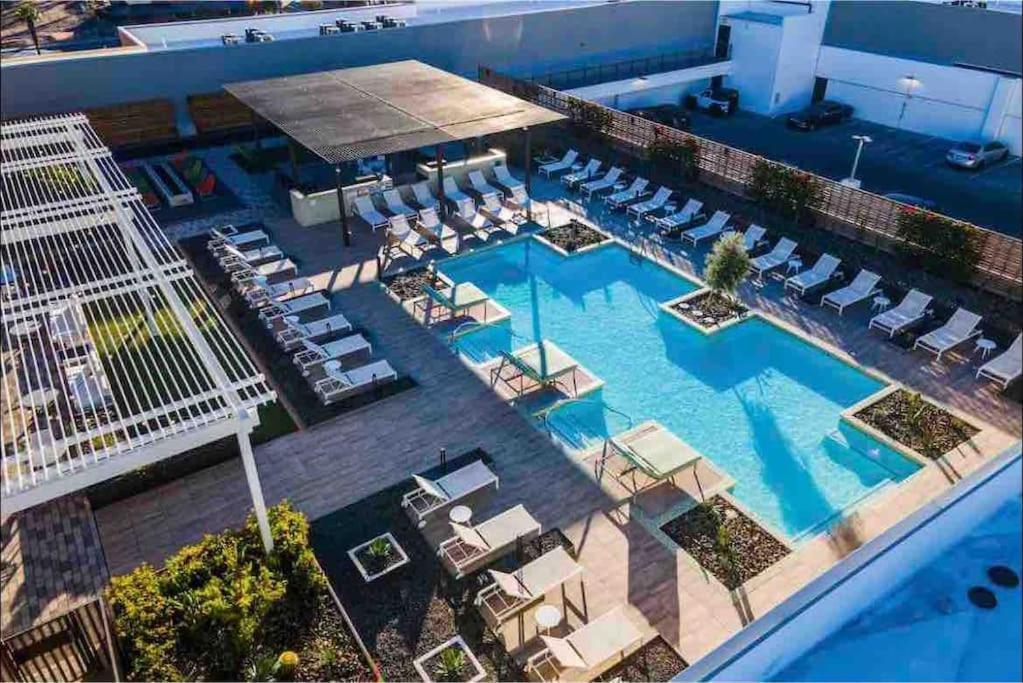 טמפה Sun Devil Studio With Rooftop Pool & Clubhouse! מראה חיצוני תמונה